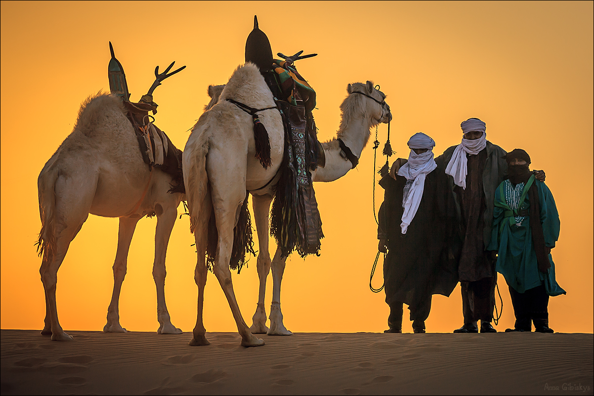 Desert music ethnic. Берберы туареги бедуины. Туареги тагельмуст. Туареги Караван. Кочевники туареги Северной Африки.