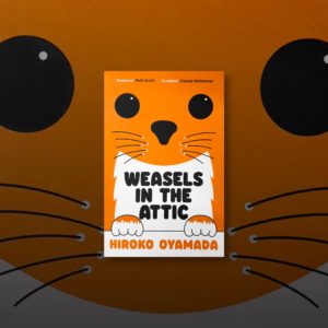 a Story a Night Weasels in the Attic