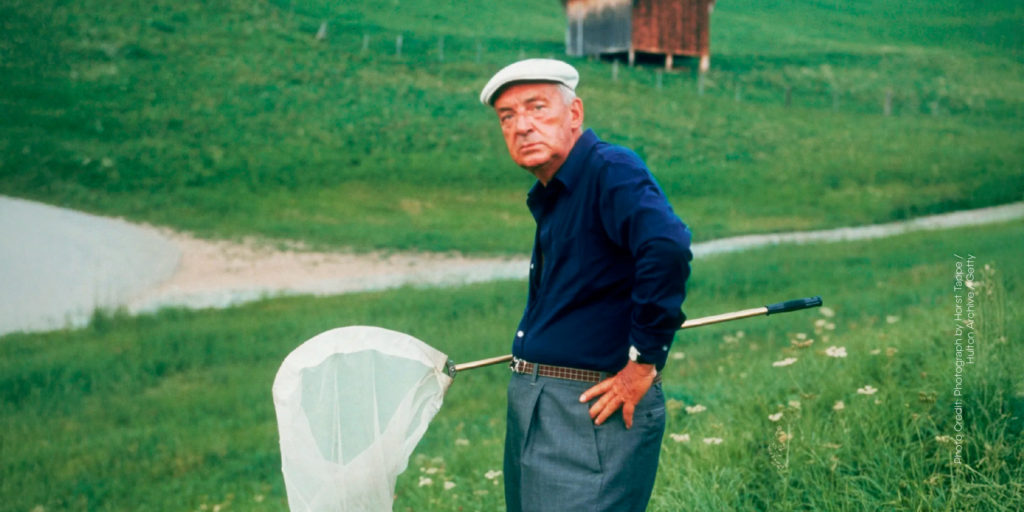 Vladimir Nabokov เขียน Lolita ออกตามหาผีเสื้อ